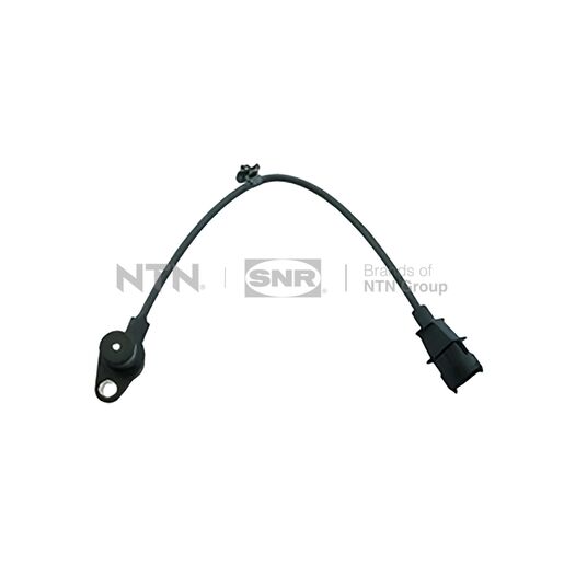 Altri prodotti CKP184.01