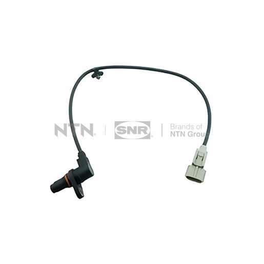 Altri prodotti CKP184.08