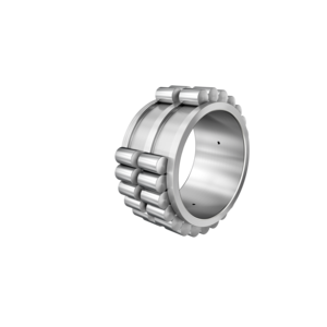 Cuscinetti a rulli cilindrici RSL 18 5009 A