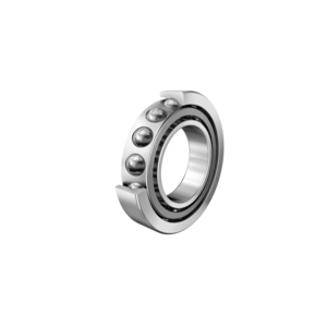Cuscinetti obliqui a sfere 722 0333 10