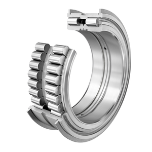 Cuscinetti a rulli cilindrici SL 04 5007-PP-2NR