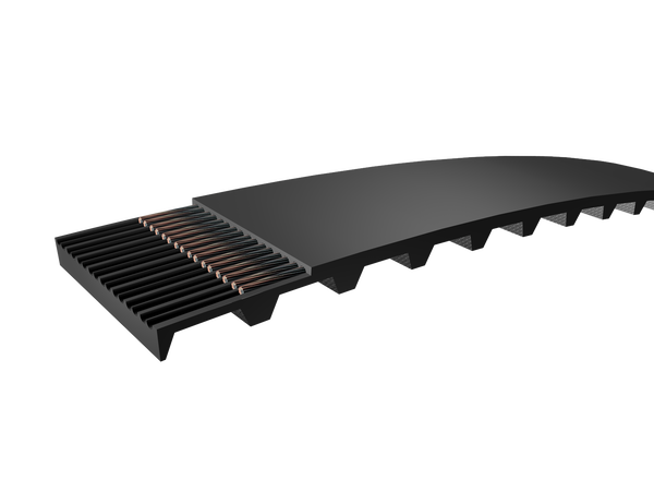 Cinghie dentate PHG 210-L-100